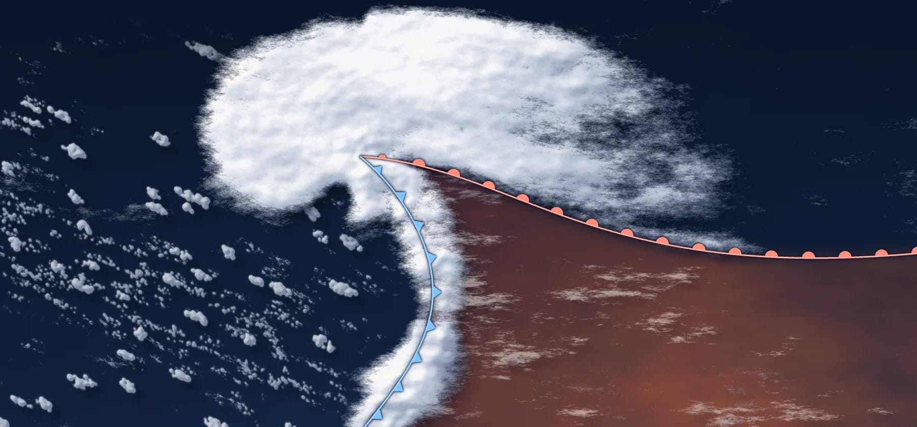 Top view of a young low in the northern hemisphere. A red warm front with half circles runs east from the centre and a blue cold front with triangles curves south, with the warm sector in amber between them. White cloud forms a comma: a large head around and north of the low and a narrow tail along the cold front. Scattered cumulus fill the cold air to the west.